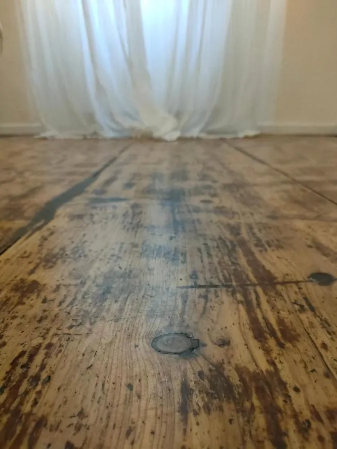 Il Sitarein Apartment Bologna Italy